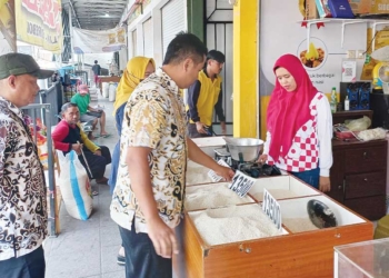 Viral Isu Beras Plastik, Masyarakat Diimbau Tak Panik