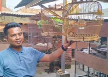 Warga Cirebon Ini Hobi Ternak Burung Perkutut, Raup Jutaan Rupiah per Bulannya