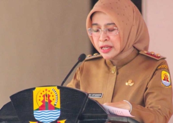 Hanya Sekali, Bonus Demografi Dorong Kemajuan Indonesia