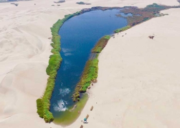 Lahan Subur Gurun Arab Saudi Ditemukan, Diperkirakan Sudah Ada Sebelum Nabi Muhammad Lahir dan Era Peradaban Islam