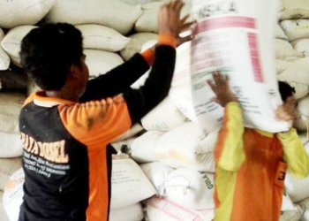 Pemkot Cirebon Berencana Serap Besar-besaran Beras Indramayu