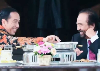 Surya Paloh Ketemu Jokowi, Nasdem Tegaskan Tak Terkait Koalisi Perubahan