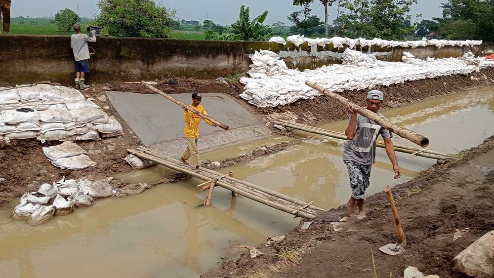 Tanggul Sungai Irigasi Winong Cirebon Jebol Lagi