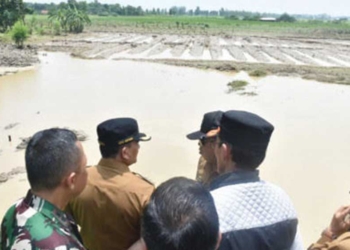 Banjir di Majalengka, Ratusan Hektare Sawah Terendam