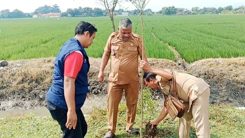 Pemdes dan Warga Jermaras Kidul Lakukan Penananam Pohon