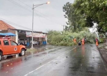 Pohon Tumbang di Majalengka, Arus Majalengka-Kadipaten Terputus