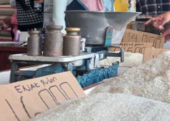 Harga Beras di Indramayu dan Cirebon Masih Rp16 Ribu per Kilogram, Operasi Pasar dan Bansos Gak Ngaruh