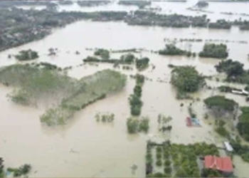Mulai Surut, Guncangan Gempa Tuban Terlihat Jelas dari Gerakan Air Banjir di Demak