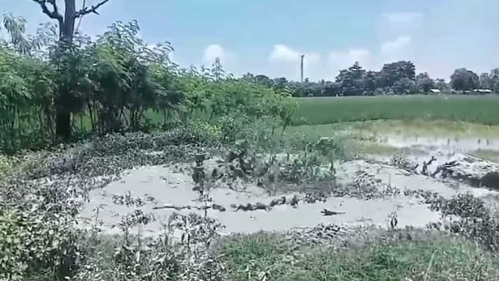 Semburan Lumpur Bercampur Gas di Indramayu Ancam Puluhan Hektare Sawah