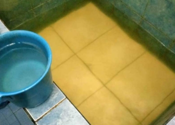 Air PDAM Indramayu Lebih Keruh dari Kali Cimanuk, Sangat Bagus untuk Menyiram Tanaman Hias