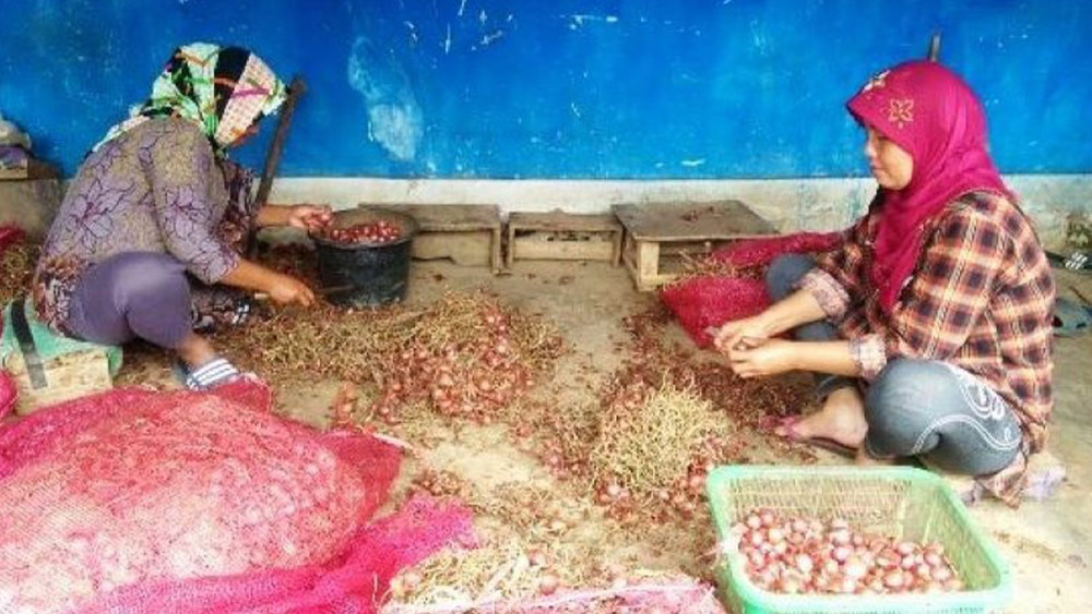 Pasca-Lebaran Harga Bawang Merah di Majalengka Naik Lagi
