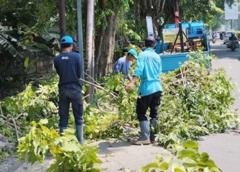Tak Semua Boleh Cuti Lebaran Idulfitri, Petugas Pertamanan dan Juru Pangkas Pohon di Kota Cirebon Wajib Piket