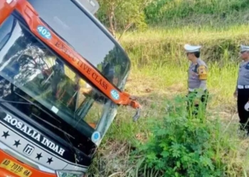 Kecelakaan di Tol Batang Kalikangkung Semarang, Bus Rosalia Terperosok ke Parit, 7 Tewas, 15 Terluka