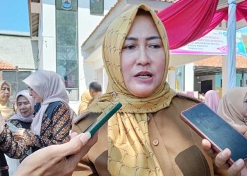 Eni Suaheni Sebut Papan Reklame di Taman PKK Kabupaten Cirebon Roboh Bukan Aset DPPKBP3A