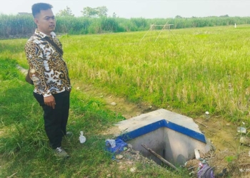 Petani di Beringin Cirebon Terancam Gagal Tanam