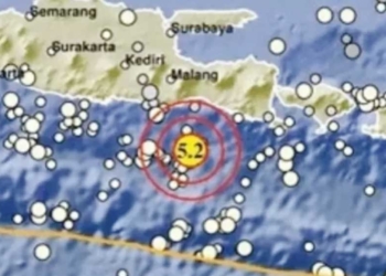 Getaran Gempa Lumajang Dirasakan Sampai Jember, Banyuwangi, Malang Hingga Blitar
