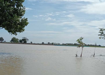 13 Desa Terdampak Banjir di Cirebon
