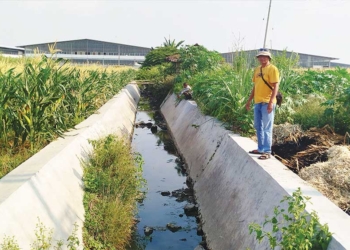 Bangunan Longrich Tutup Saluran, Petani Desa Babakan Losari Lor Kesulitan Air, 40 Hektare Sawah Terdampak