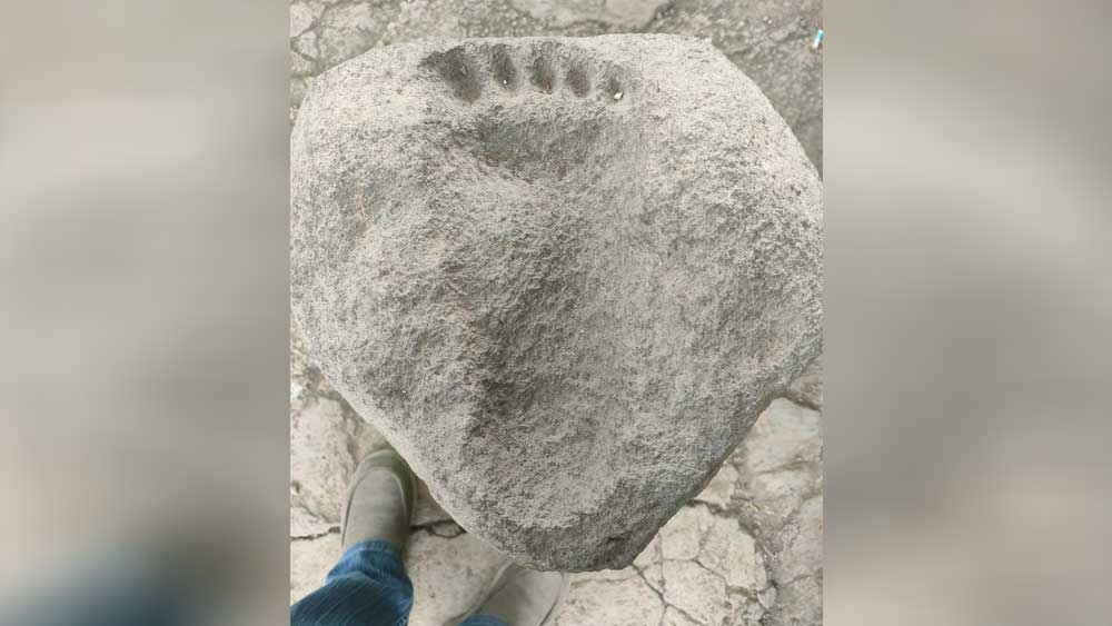 Penemuan Situs Batu Tapak Kaki Raksasa di Dalam Sumur Tua di Balongan Indramayu