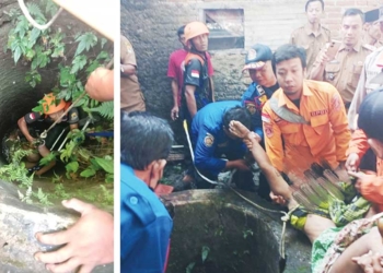 Kejar Burung Peliharaan, Saeful Amin Tewas Tercebur ke Sumur