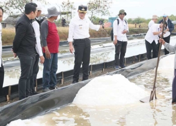 Pemkab Cirebon Dorong Pengembangan Garam Industri, Proses Lebih Lama, Tapi Harga Jual Lebih Tinggi