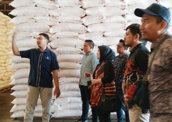Distribusi Pupuk Bersubsidi di Wilayah Cirebon Terus Meningkat