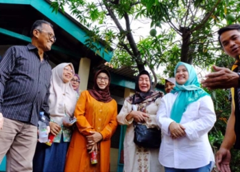 Calon Wakil Wali Kota Cirebon Siti Farida Semangat Blusukan Sapa Warga