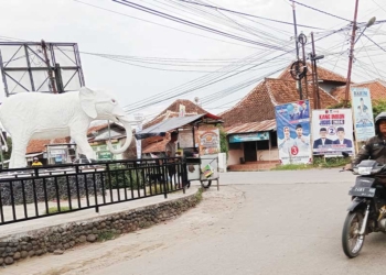 Dua Patung Gajah di Paltim dan Palbar, Deskripsikan Palimanan Cirebon adalah Gajah