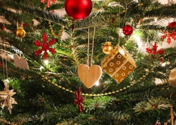 Asal Usul Pohon Natal Versi Suhu Jeremy, Martin Luther Lihat Kerlip Bintang di Sela Daun Pohon Cemara