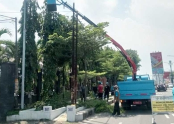 Musim Hujan, Permintaan Pangkas Pohon di Kota Cirebon Meningkat