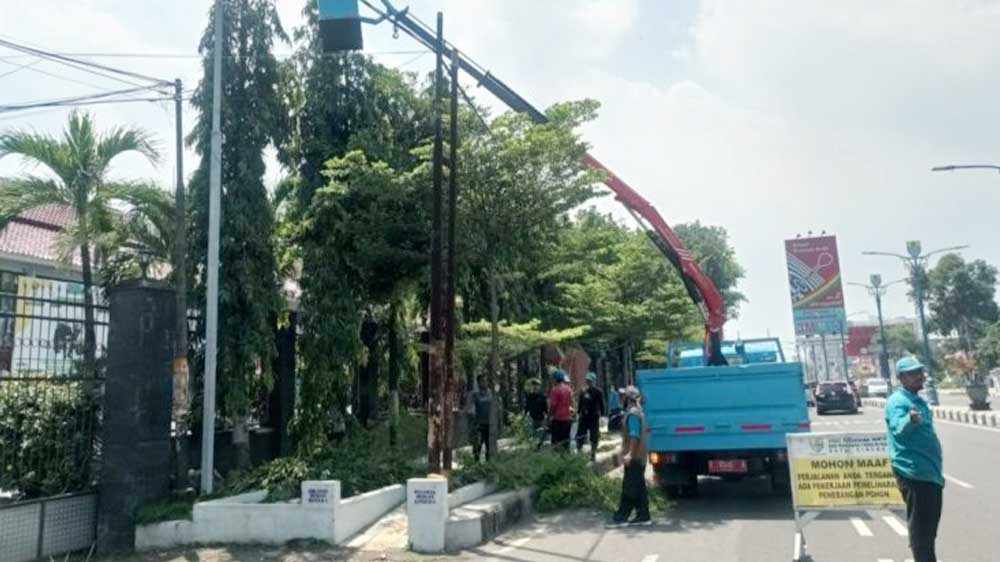 Musim Hujan, Permintaan Pangkas Pohon di Kota Cirebon Meningkat