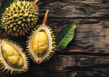 Raja Buah dengan Segudang Khasiat, Berikut 10 Manfaat Durian bagi Kesehatan