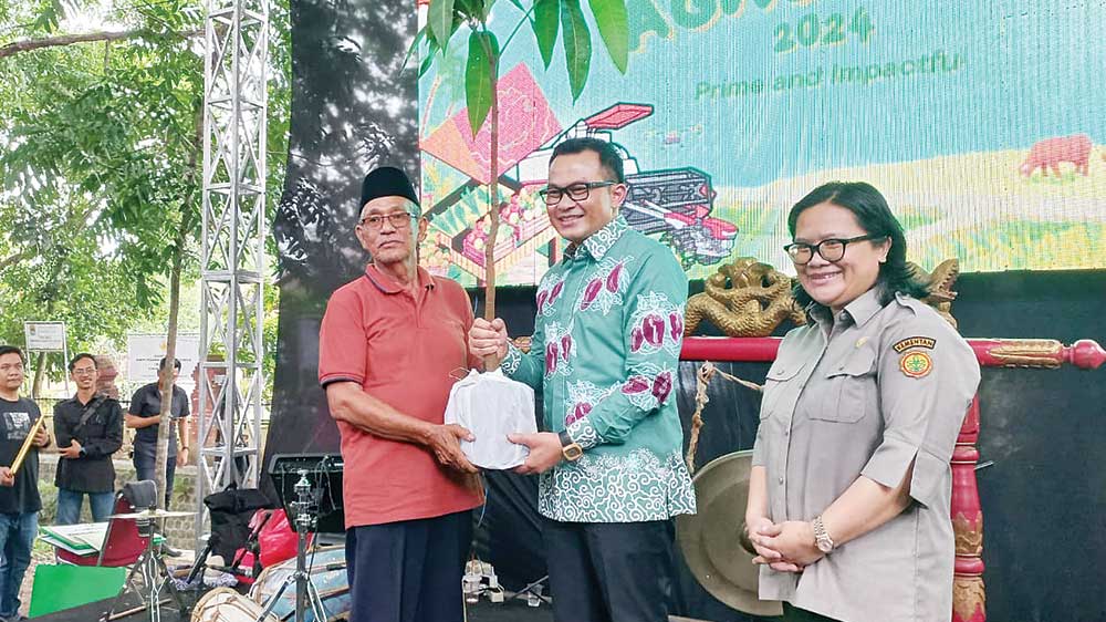 Roman Ayu Resmi Mangga Khas Kabupaten Cirebon