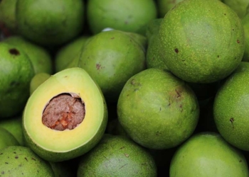 7 Cara Memilih Alpukat Matang, Perhatikan Tips Ini Agar Anda Tidak Kecewa