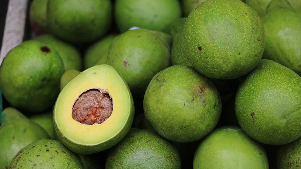 7 Cara Memilih Alpukat Matang, Perhatikan Tips Ini Agar Anda Tidak Kecewa
