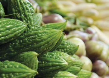 Manfaat Pare Bagi Kesehatan, Punya Zat Pembunuh Sel Kanker