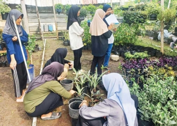 PKBM YPBG Kabupaten Cirebon Cetak Petani Milenial