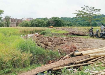Alih Fungsi Lahan di Talun Cirebon Mengkhawatirkan, Sasar Lahan Pertanian Produktif, Kedaulatan Pangan Terancam