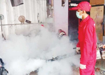 Awal Tahun 2025 DBD di Kabupaten Cirebon Capai 50 Kasus