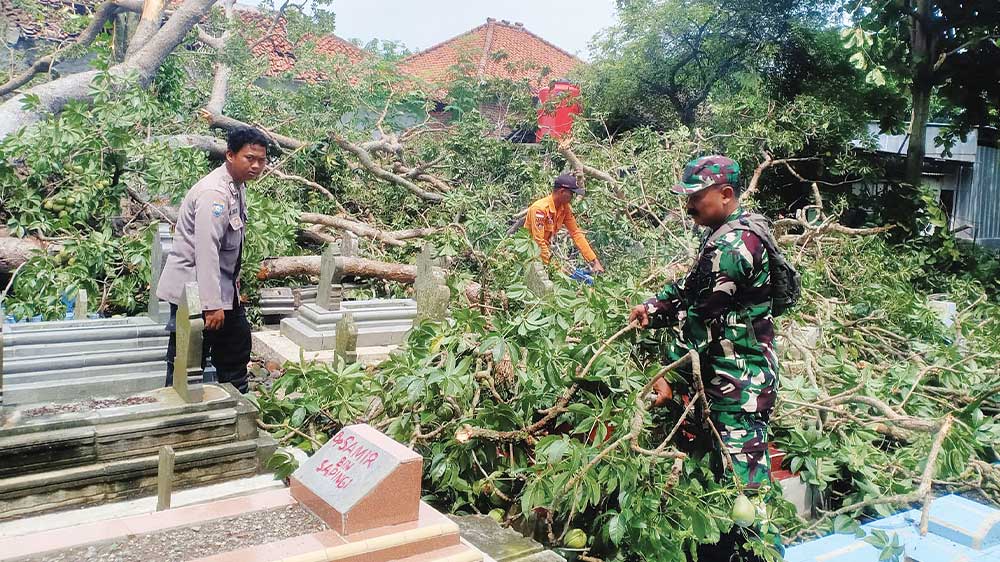 BMKG Prediksi Fenomena Hujan Angin, Imbau Pangkas Pohon Tinggi yang Sudah Tua