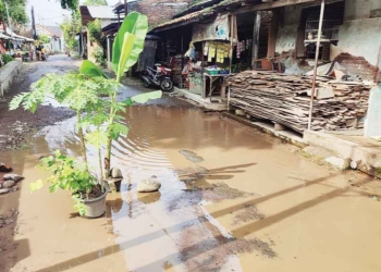 Bertahun-tahun Dibiarkan Rusak, Warga Sarabau Cirebon Tanam Pohon Pisang di Jalan Berlubang