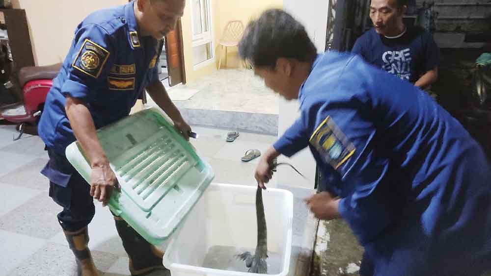 Dari Memadamkan Api Sampai Menangkap Ular, Fasilitas Pekerjaan DPKP Kota Cirebon Memprihatinkan