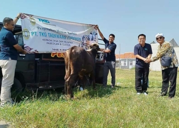 PT TKG Taekwang Cirebon Salurkan 16 Hewan Kurban