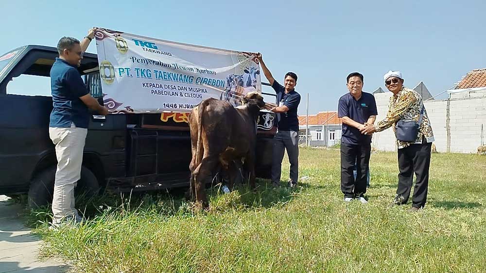 PT TKG Taekwang Cirebon Salurkan 16 Hewan Kurban