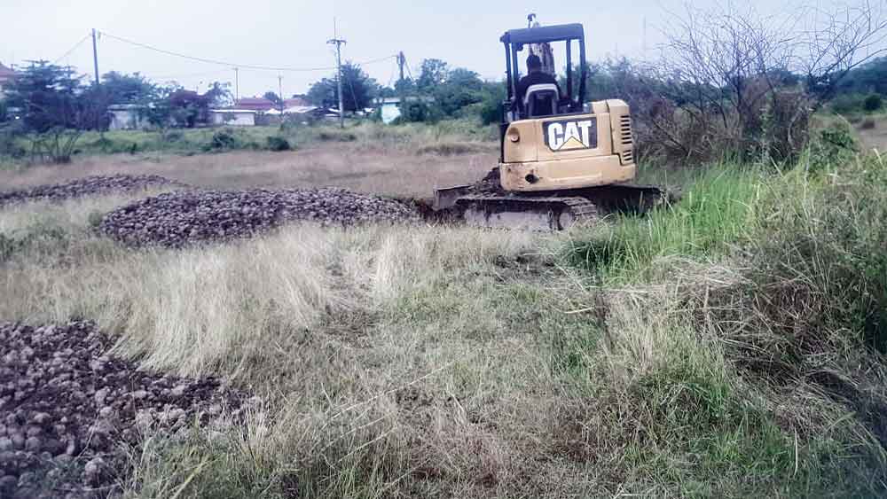 Diolah di Desa Setu Kulon Dibuang di Desa Weru Lor Cirebon, Bau Busuk Limbah Pakan Ternak Bikin Mual