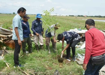 Langkah Awal Cegah Banjir dan Bangli Dimulai, Wabup Cirebon Tanam Pohon di Jalur Playangan-Bojong Negara