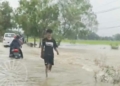 Banjir Wilayah Barat Cirebon Dipicu Sedimentasi Sungai