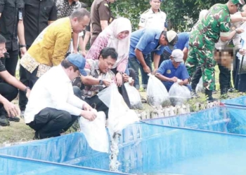 Pusatkan Panen Raya Nasional di Lapas Cirebon, Menteri Imipas Dorong Kemandirian Warga Binaan